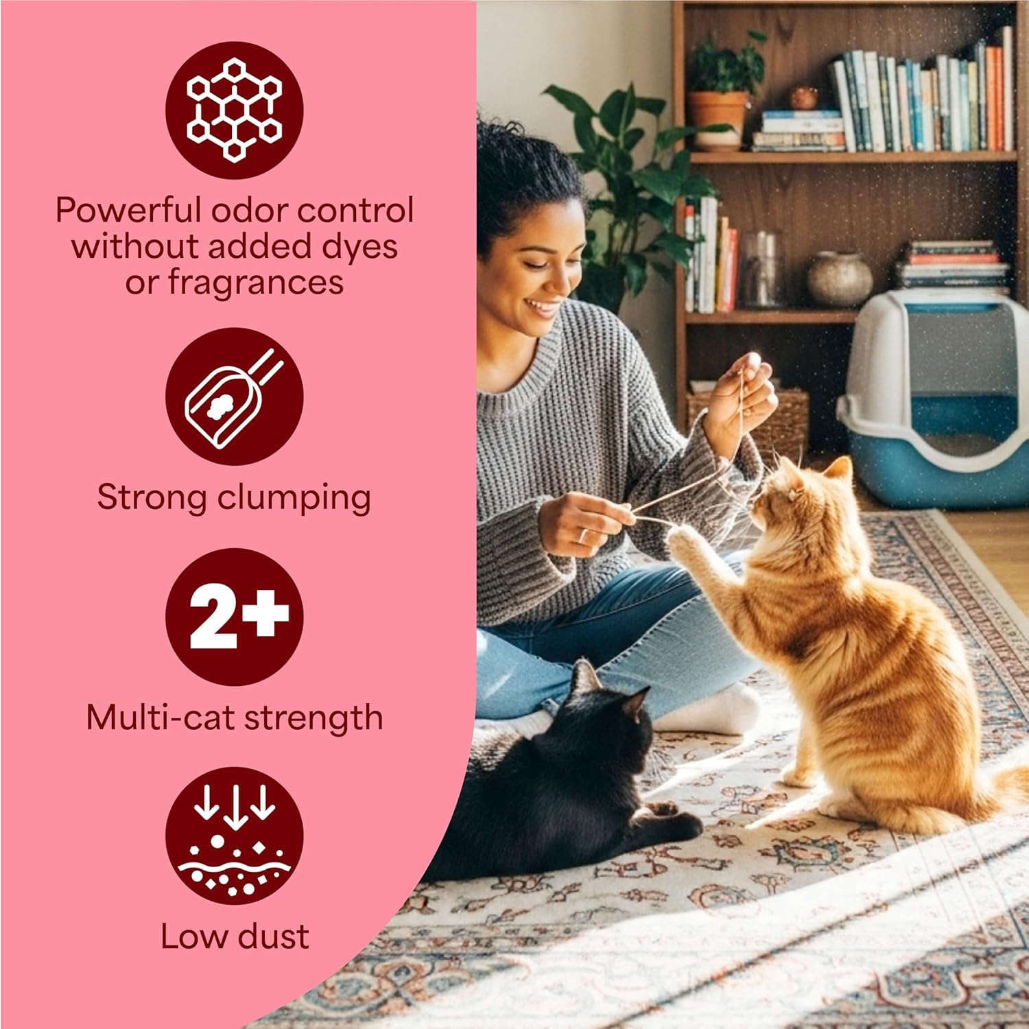Fresh Step Advanced Odor Shield Multi Cat Clumping Litter with Febreze Freshness, Low Dust, Odor Control with Ammonia Block Tech, Compatible in Automatic Litter Boxes, 37 lb. (2 x 18.5 lb.)